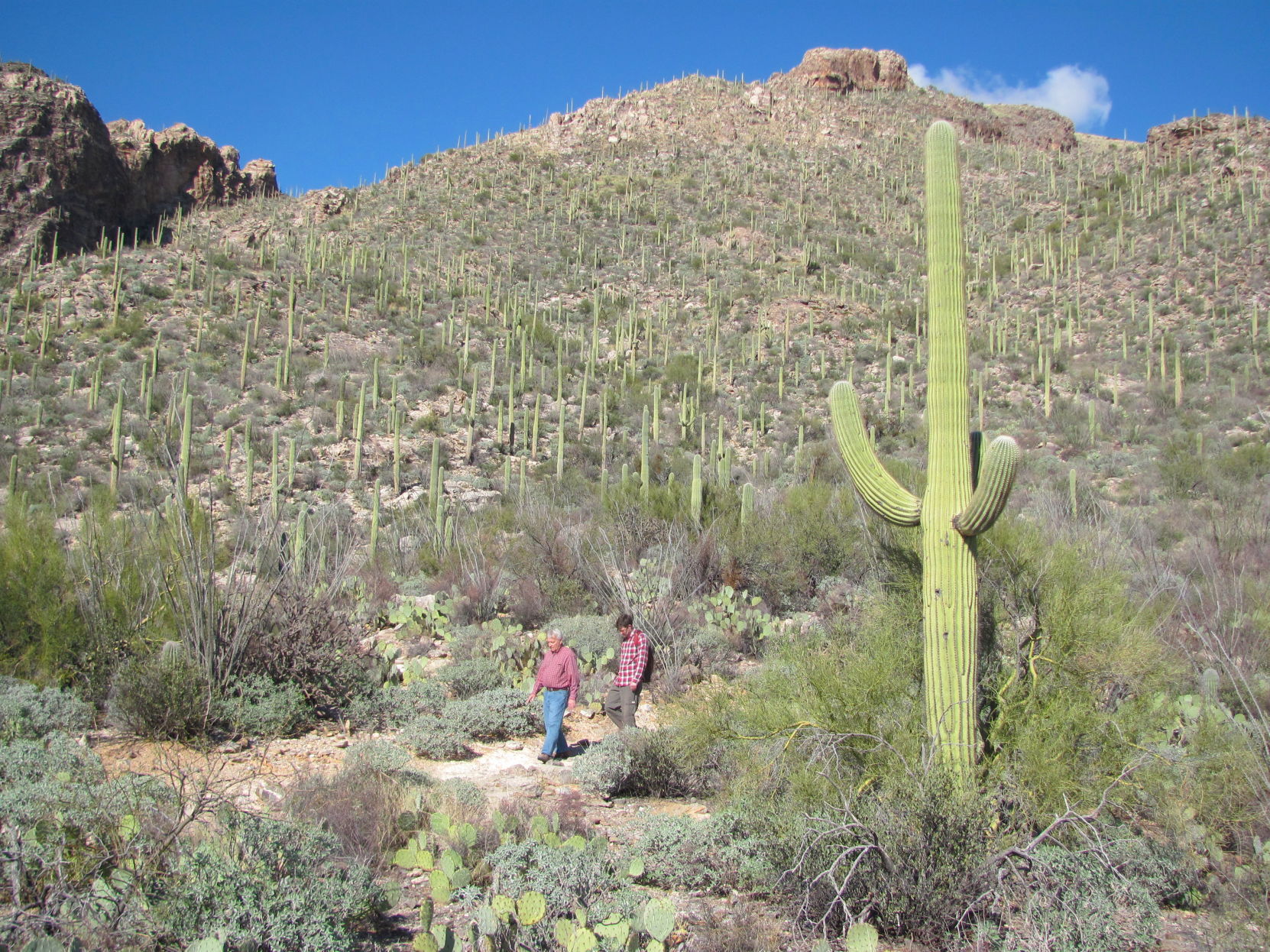 Pima Canyon hikers